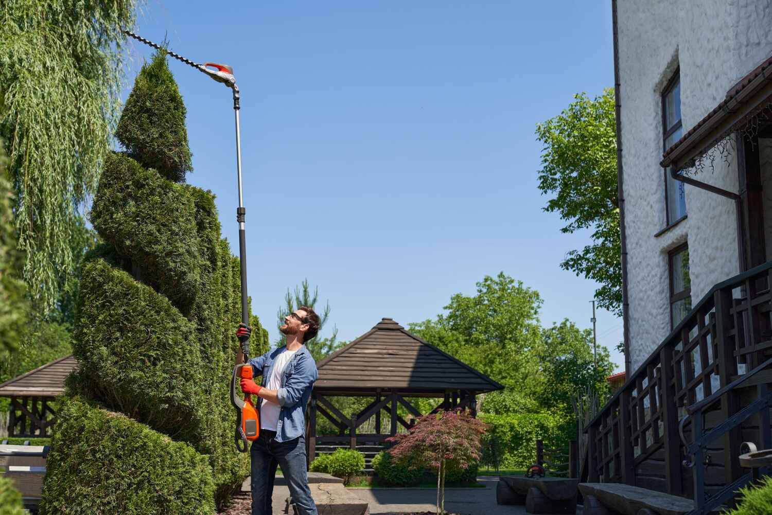 Emergency Storm Tree Removal in Manchester, MI